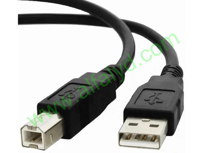Xtech - USB cable - 3.04 m