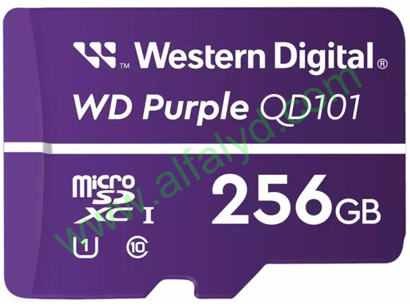 WD Purple SC QD101 WDD256G1P0C - Tarjeta de memoria flash - 256 GB