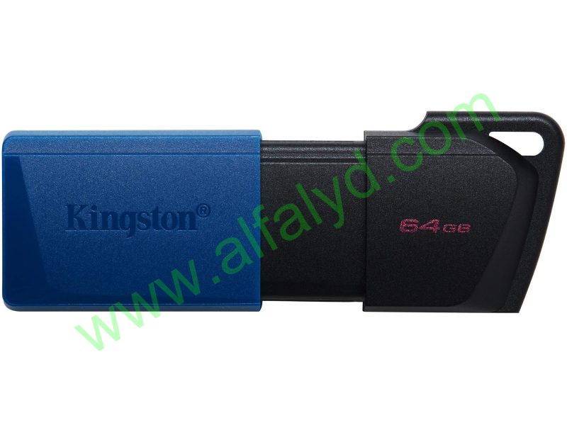 Kingston DataTraveler Exodia M - Unidad flash USB - 64 GB