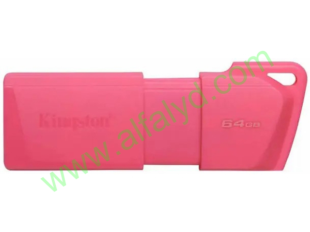 Kingston - USB flash drive - 64 GB