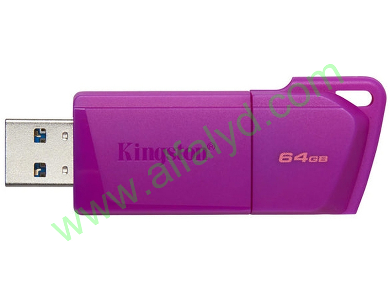 Kingston - USB flash drive - 64 GB