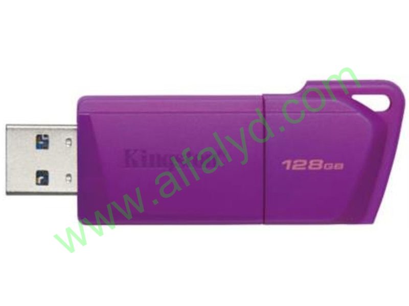 Kingston - USB flash drive - USB 3.2 Gen 2