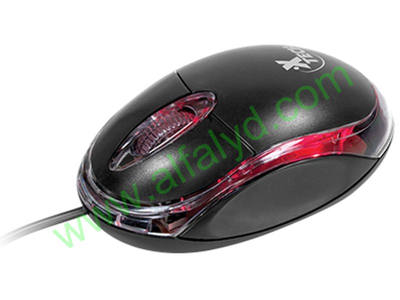 Xtech - Mouse - Wired