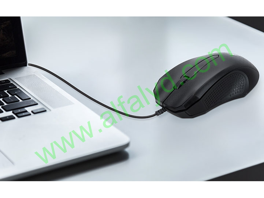 Xtech - Optical mouse - USB - Imagen 4