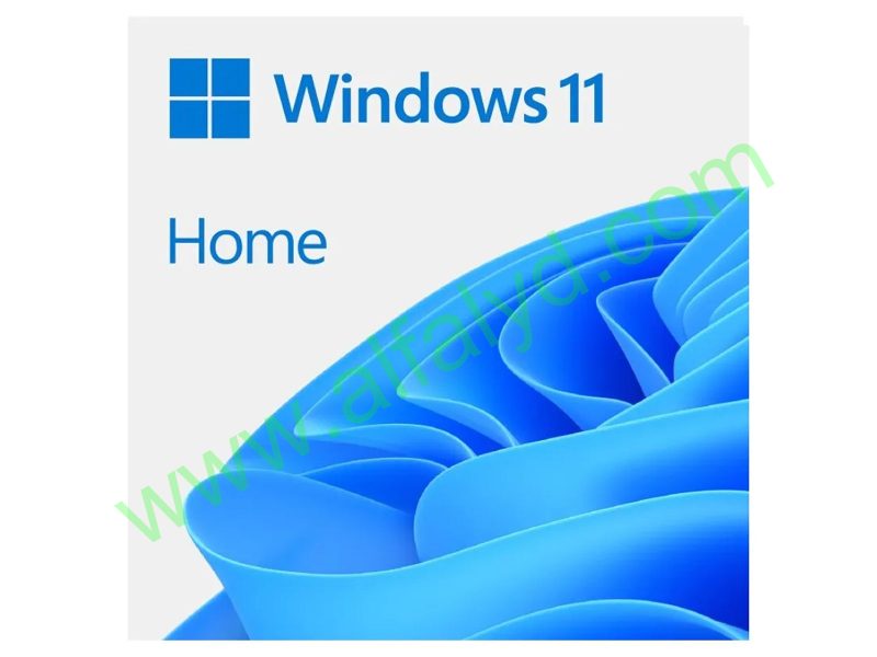 Windows 11 Home - Licencia - 1 licencia