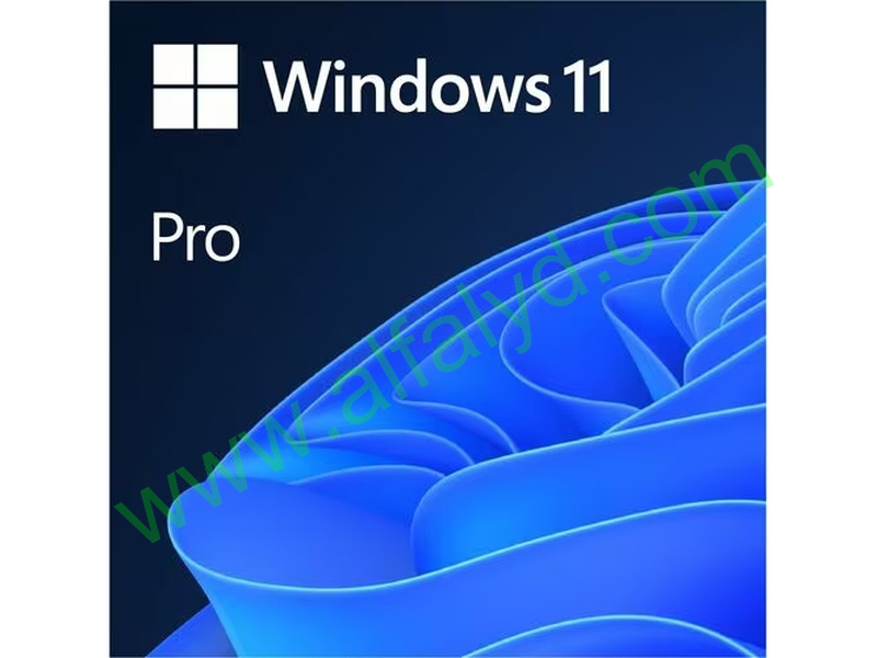 Windows 11 Pro - Licencia - 1 licencia