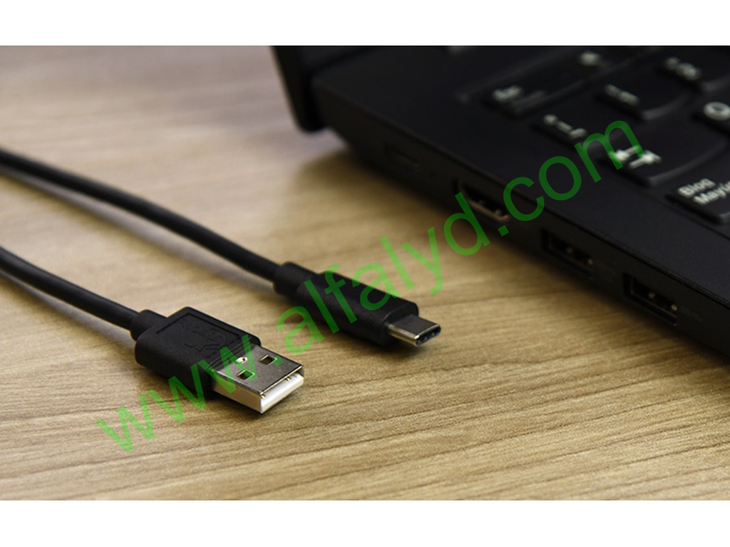 Xtech XTC-510 - Cable USB - 24 pin USB-C (M) reversible a USB (M) - Imagen 3