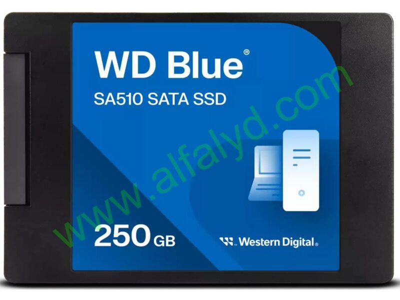 WD Blue SA510 WDS250G3B0A - SSD - 250 GB