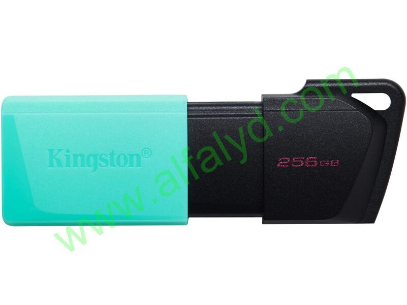 Kingston DataTraveler Exodia M - Unidad flash USB - 256 GB
