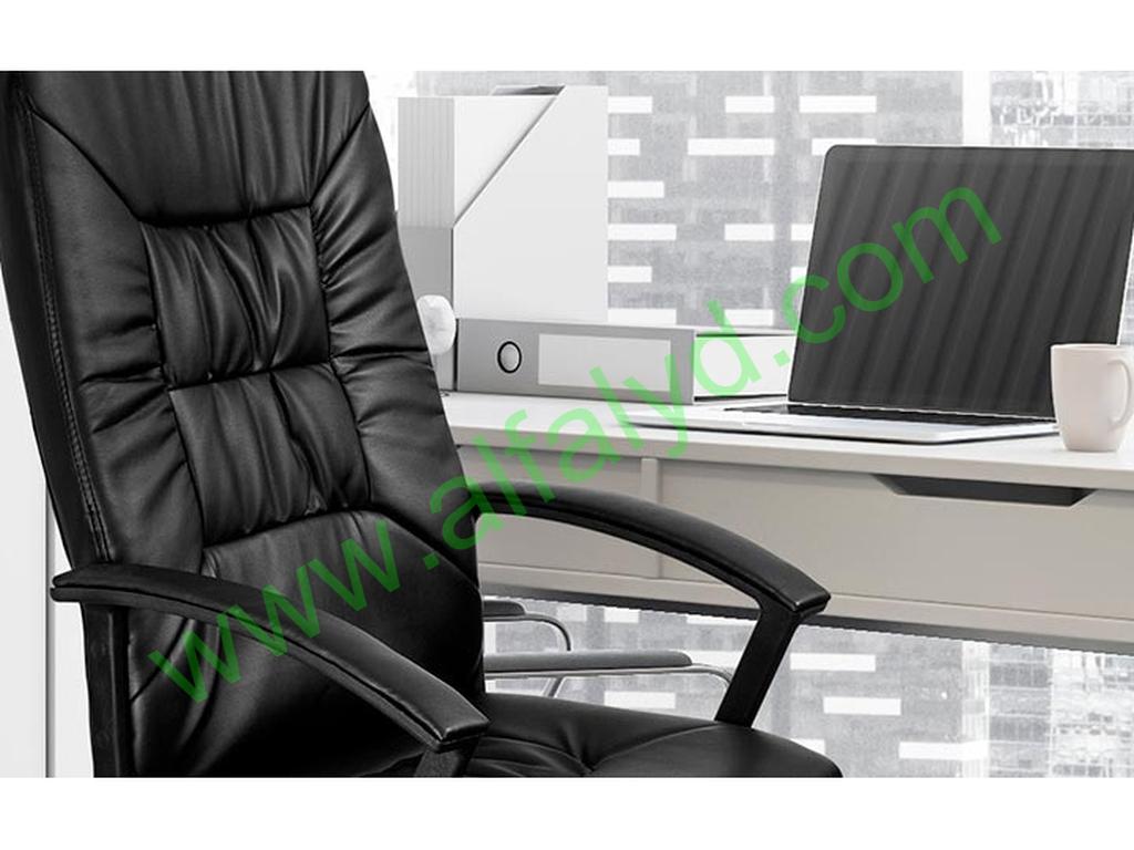 Xtech Calabria - Silla - ejecutivo - Imagen 3