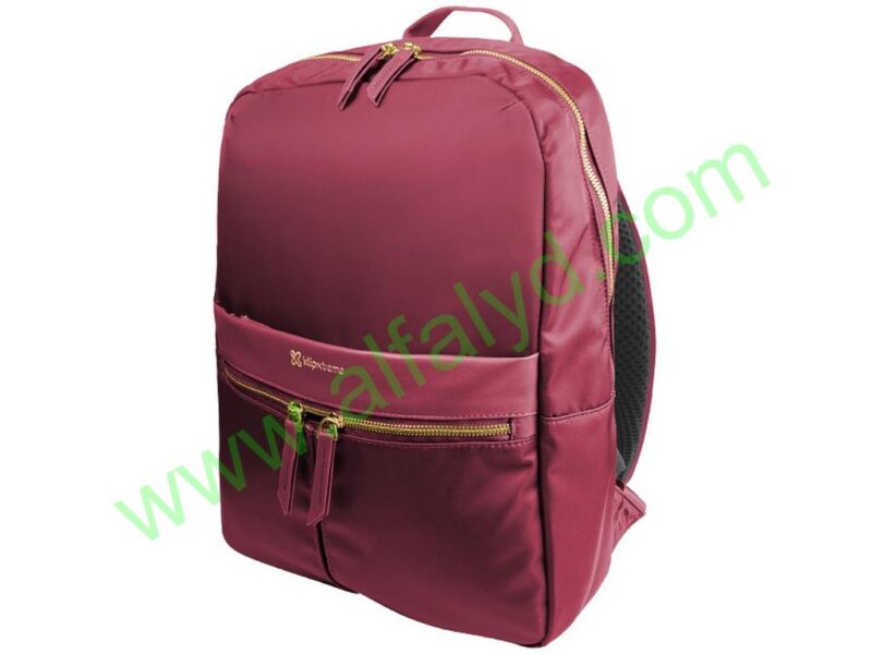 Klip Xtreme - Notebook carrying backpack - 15.6"