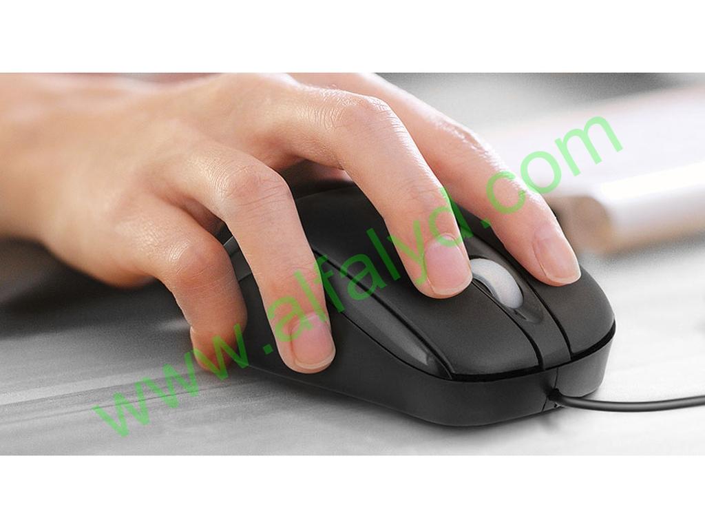 XTech XTM-175 - Ratón - USB - Imagen 2