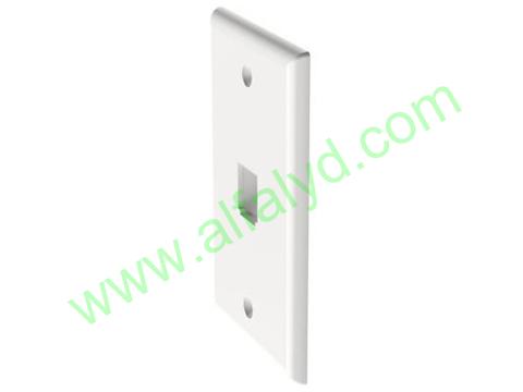 Panduit - Faceplate - 1 puerto - Imagen 2