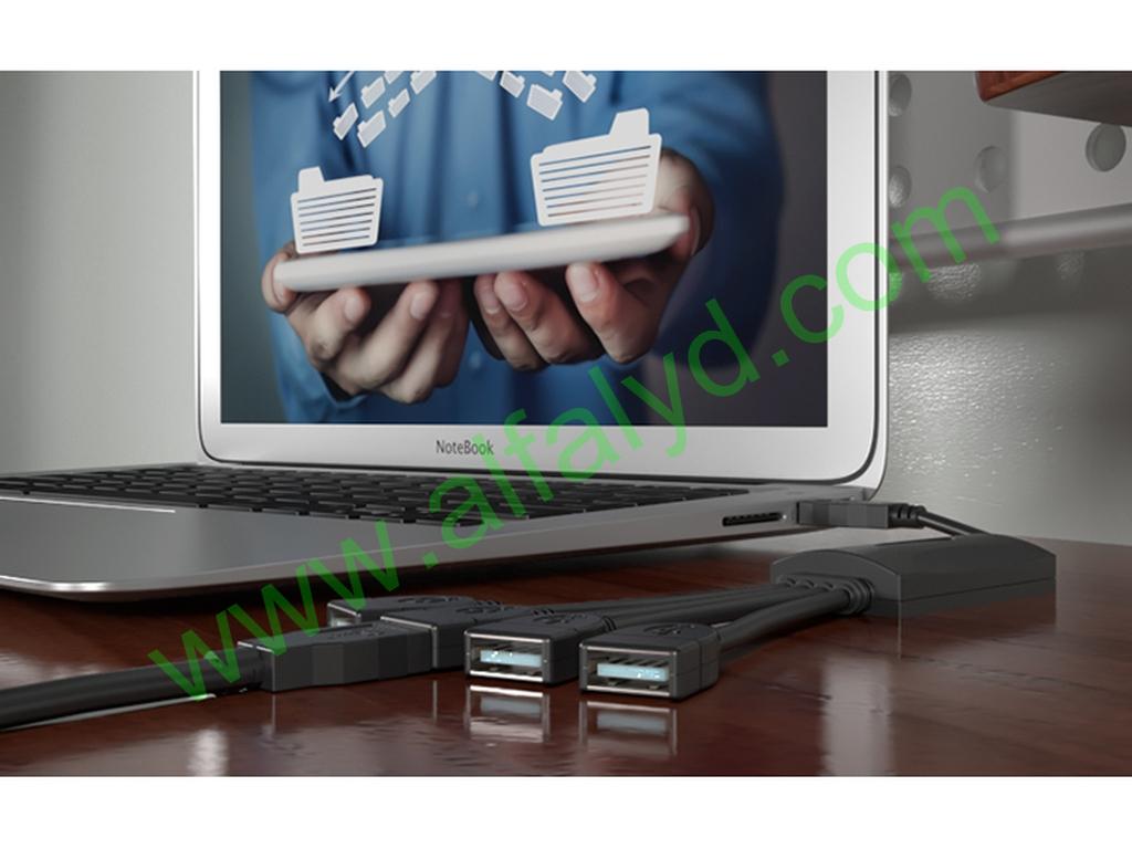 Xtech - USB cable - 4 pin USB Type A - Imagen 3