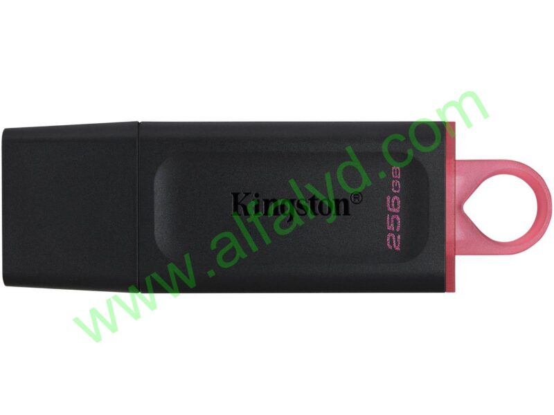 Kingston DataTraveler Exodia - Unidad flash USB - 256 GB