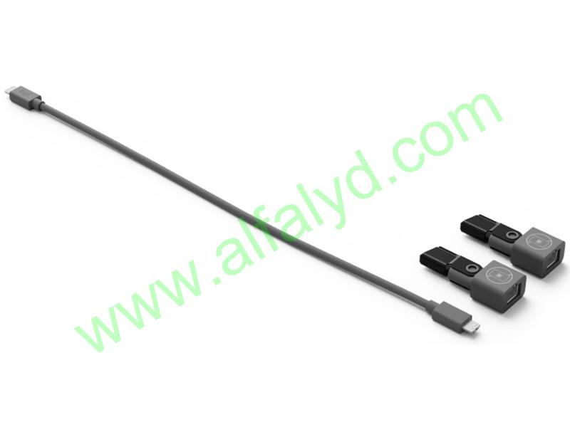 Logitech - USB / network cable - Rally Mic Pod Cat Coupler-GRAP