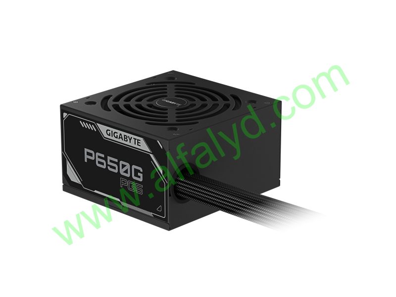 Gigabyte - Power supply - 650 Watt - AC 110/240 V - 650W